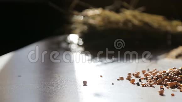 有机天然长期养殖动物饲料视频的预览图