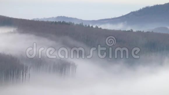 云倒转雾霾飘在山上的树木之上视频的预览图