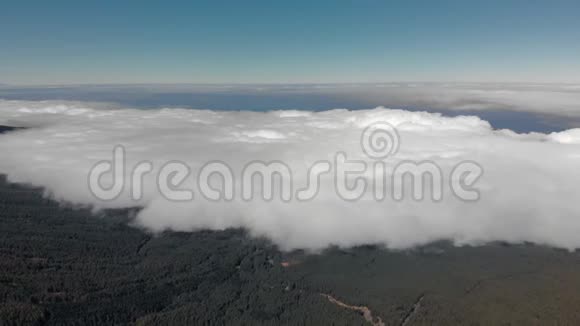 空中射击高地绿色森林在云层上方飞行返回视频的预览图