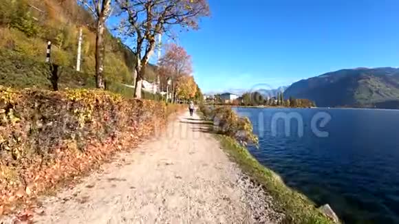 我看到奥地利人和他的狗在湖上享受夏天的一天视频的预览图