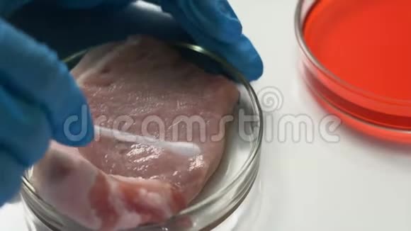 微生物学家在培养皿中进行肉类试验视频的预览图