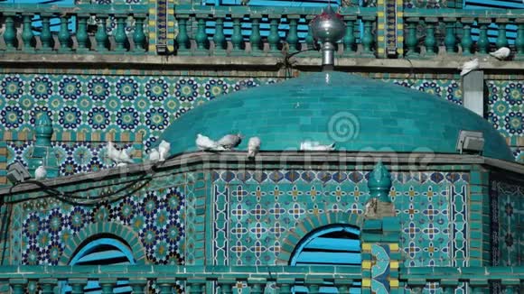 站在清真寺墙上的鸟儿视频的预览图