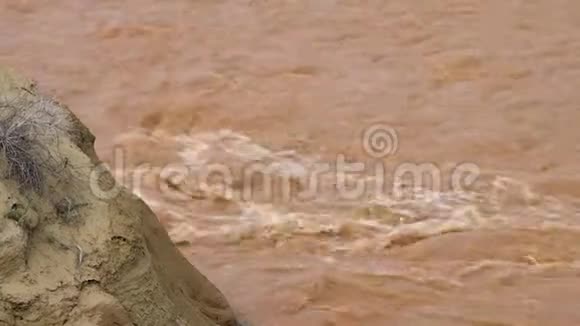 淤泥和河水视频的预览图