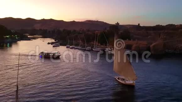 在埃及尼罗河航行的Felucca船日落背景视频的预览图