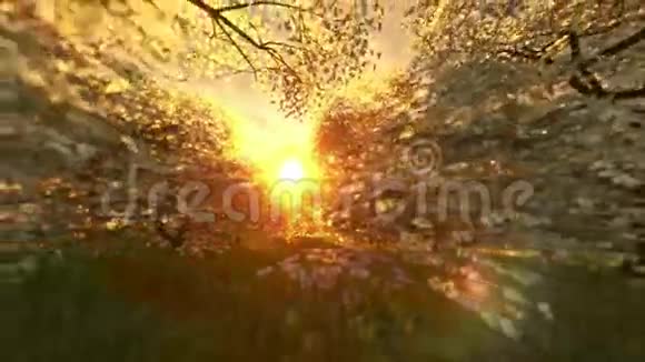 日出春景相机飞视频的预览图