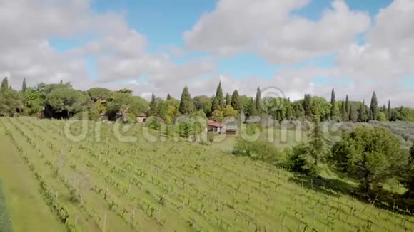空中拍摄意大利美丽的葡萄园托斯卡纳视频的预览图