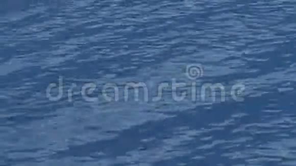 深蓝色的海水带着小浪的碧水水波为自然背景干净的海面视频的预览图