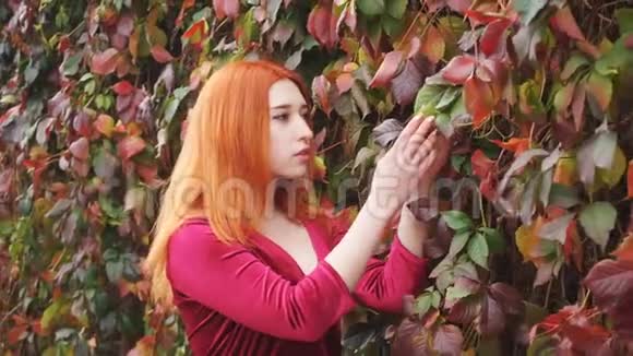 美丽的红发女孩站在树篱附近手里拿着树叶视频的预览图