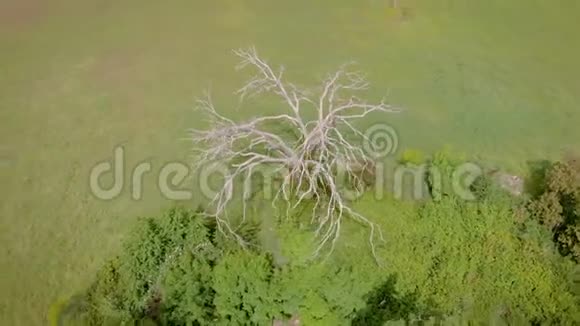 4K无人机空中拍摄美丽的意大利自然视频的预览图