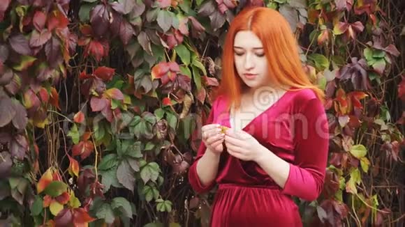 红发少女站在树篱旁手里拿着树叶视频的预览图