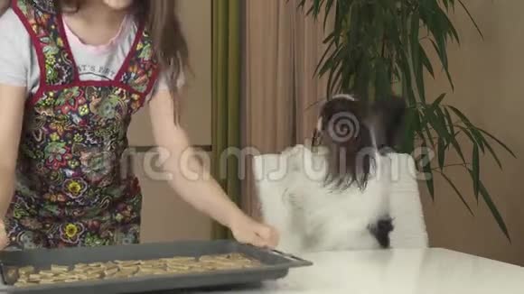 少女和狗狗帕皮隆准备饼干把面团锅放在烤箱里的库存录像视频的预览图