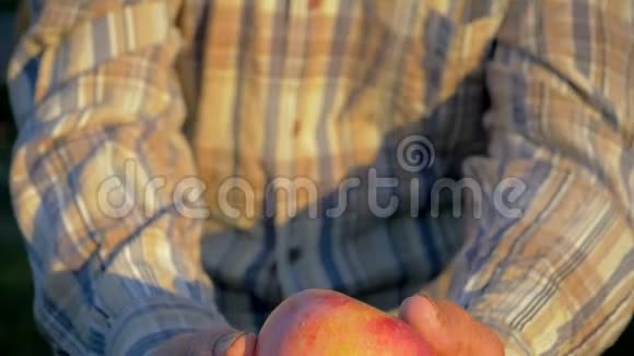 老年农夫农学家手里拿着熟苹果向镜头展示视频的预览图