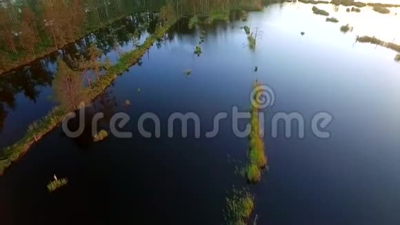 关于沼泽的空中录像视频的预览图