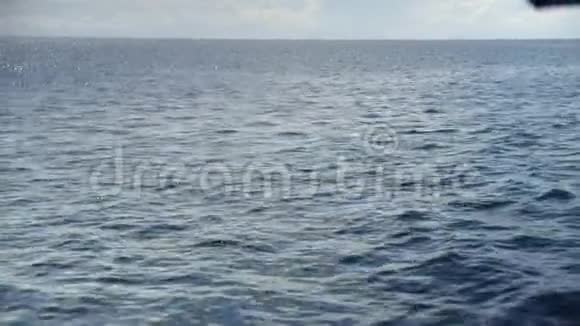 一片海洋海水视频的预览图