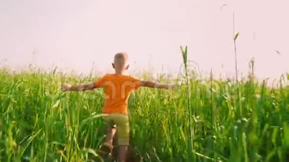 一个穿着鲜艳橙色T恤的男孩穿过一片绿草如茵的田野孩子张开双臂迎接视频的预览图