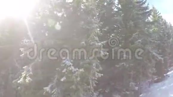 滑雪场的森林视频的预览图