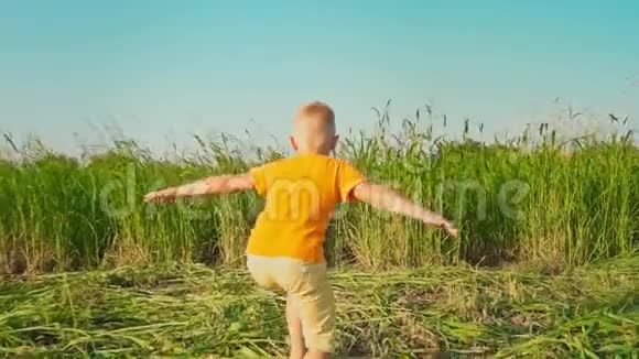 一个穿着鲜艳橙色T恤的男孩跑进了一片绿草如茵的田野孩子张开双臂迎接蓝色视频的预览图