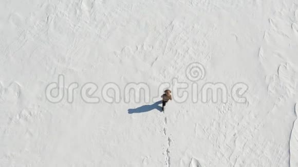 一个人正沿着一块雪田走孤独从上面看视频的预览图