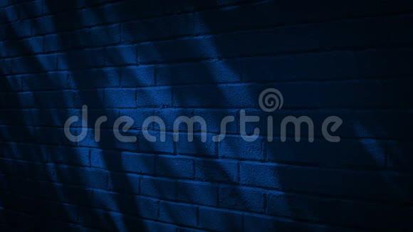 夜间筑墙的阴影视频的预览图