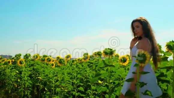 有着棕色长发穿着白色夏装太阳裙的可爱小女孩在画报上漫步向日葵美丽视频的预览图