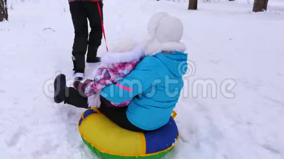 爸爸带着小宝宝坐在雪橇上穿过松树公园笑了起来在圣诞节假期家人可以放松视频的预览图