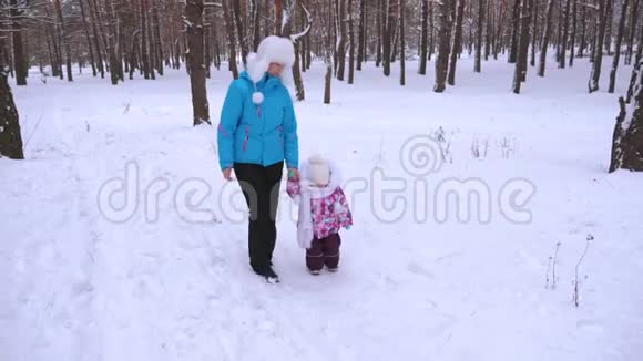妈妈和小女儿正在松树公园沿着雪道散步宝宝和宝宝在寒冷的日子里散步视频的预览图
