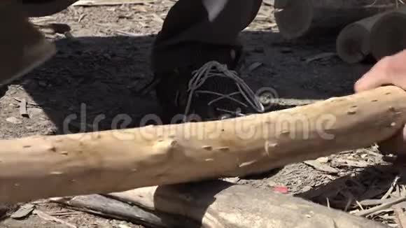 在乌兹别克斯坦用斧子定位木头视频的预览图