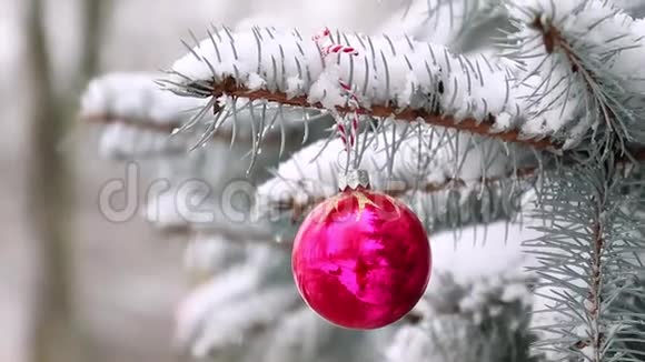 节日圣诞树装饰红色玩具球和弓与软焦点与复制空间视频的预览图
