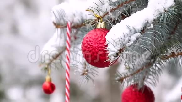 节日圣诞树装饰着红色玩具球和雪与软焦点视频的预览图