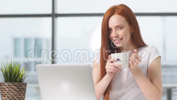快乐红发女孩在办公室的笔记本电脑工作视频的预览图