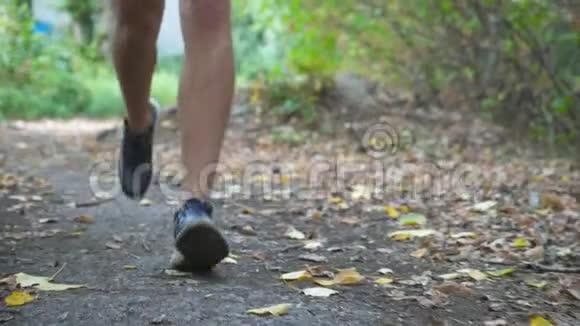 在初秋的森林里一个运动的人沿着小径奔跑把腿合上男运动员的脚沿小径慢跑视频的预览图
