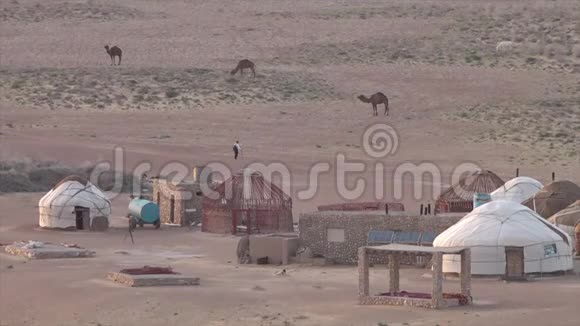 在乌兹别克斯坦的小屋骆驼和当地人视频的预览图