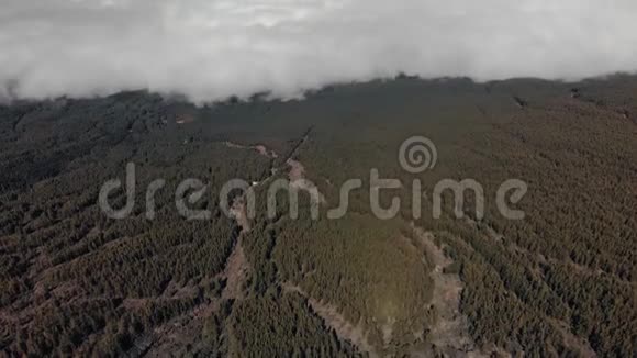 空中射击巨大的自然现象高原森林处于云层的水平加那利群岛泰德火山视频的预览图