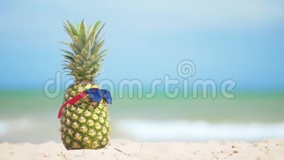 海上度假的太阳眼镜里欢快的菠萝概念暑假视频的预览图