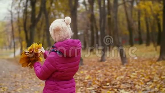 秋天公园里有枫叶的小女孩视频的预览图