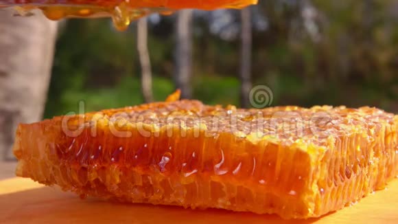 养蜂人把蜂蜜放在蜂窝板上视频的预览图