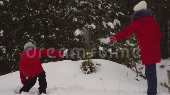 快乐的孩子在松林里玩雪球笑快乐的少女们在松树公园冬天玩雪圣诞节视频的预览图