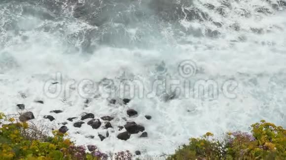 从上面看到海浪撞击在石头和岩石上前景上美丽的花朵视频的预览图