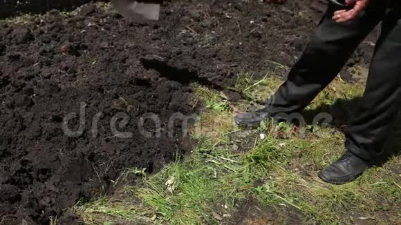 在一个阳光明媚的日子里农夫铲子挖一个花园解剖地面视频的预览图