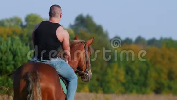 强壮的肌肉男穿着黑色t恤和太阳镜骑着马在田野里远离相机视频的预览图