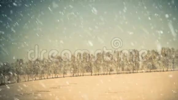 地平线上的冬山树视频的预览图