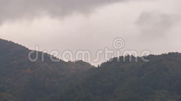 秋天的季节里云和雾随山移动视频的预览图