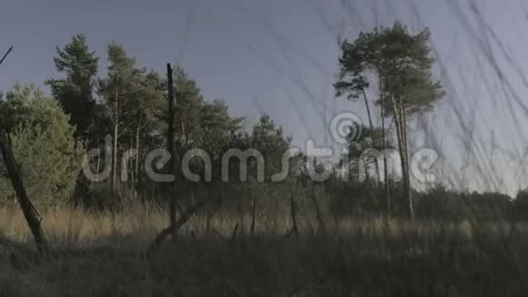 草原草上的日落视频的预览图