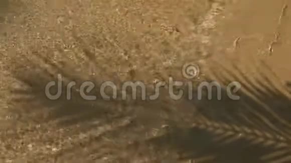 4K椰子棕榈树叶影伸展在沙滩上溅波晶莹清澈的水夏季背景视频的预览图