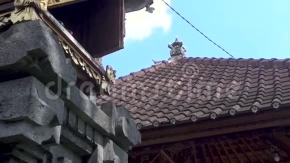 巴厘岛寺庙建筑瓷砖屋顶以热带植物为背景传统的巴厘岛建筑印度寺庙视频的预览图