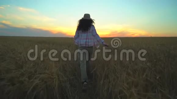 夏季日落时妇女游客在麦田里奔跑徒步旅行者女人戴着帽子背着背包徒步旅行女孩视频的预览图