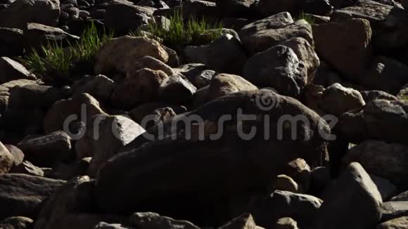 雪山前的大块石头视频的预览图