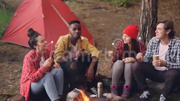 饥饿的游客朋友们正在吃温暖的棉花糖坐在炉火旁享受食物新鲜空气和良好的陪伴视频的预览图