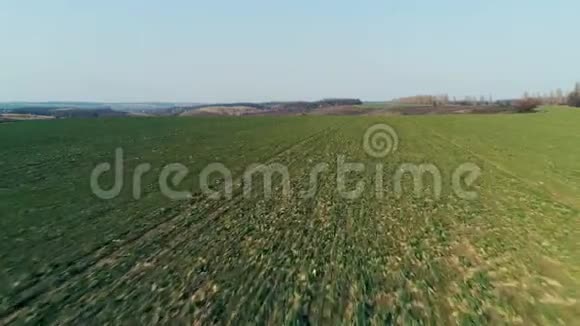 春大豆田成熟的空中拍摄与农业景观视频的预览图