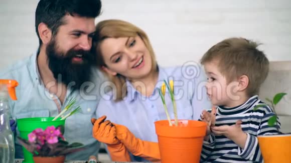 园艺的概念快乐的父母在背景中微笑因为男孩帮助他们种花视频的预览图